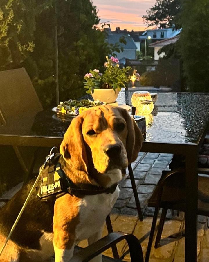 Lugnt Och Centralt Laege Borås Buitenkant foto